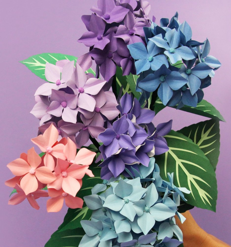 Illustration de Lila Poppins