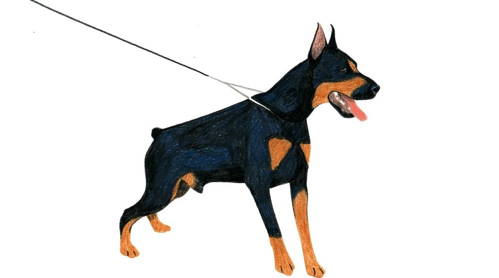 Illustration de Mathilde Bédouet